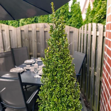 Aurora Schaar 3 Apartmán *